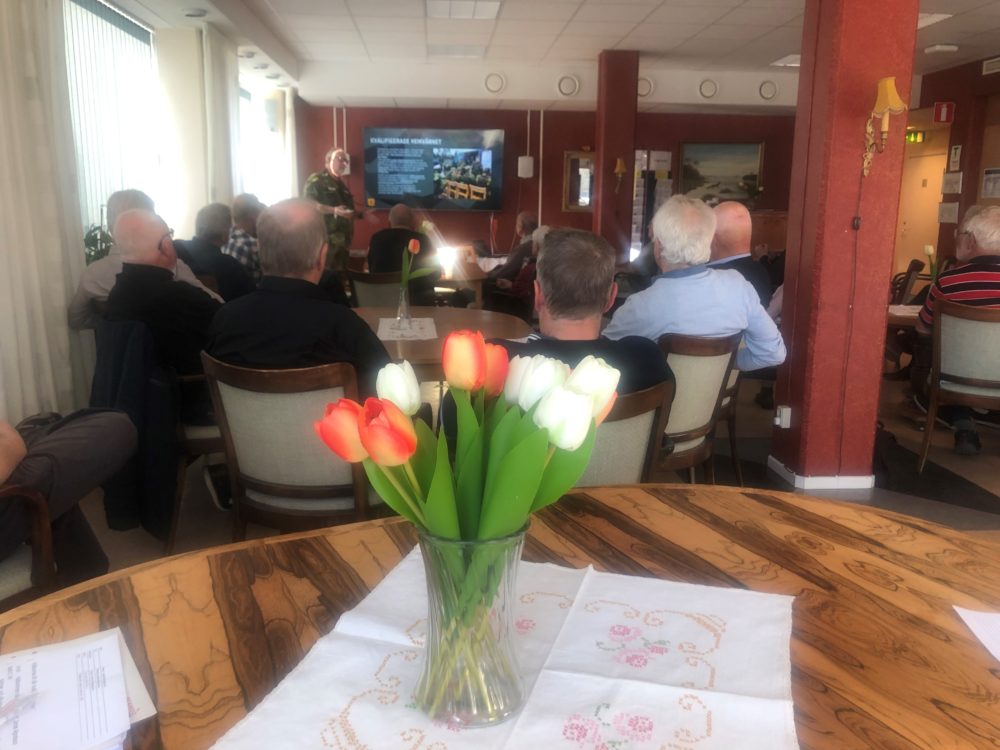 green trees on cliff