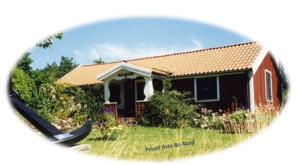 body of water during golden hour